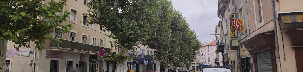 Photo des platanes sur le cours de la République à Lézignan-Corbières
